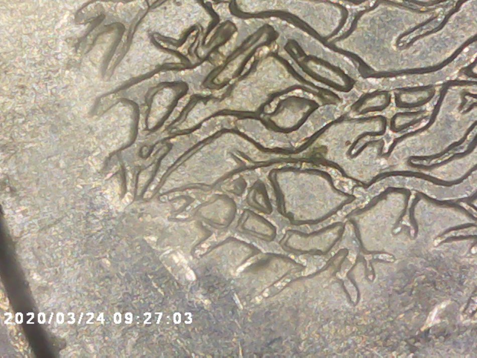 1999-Connecticut-Quarter,-Deemed-Error?
